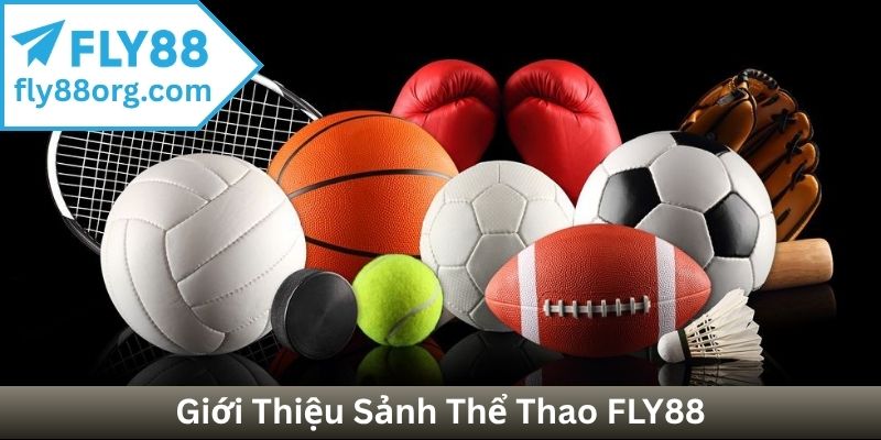 Giới Thiệu Sảnh Thể Thao FLY88