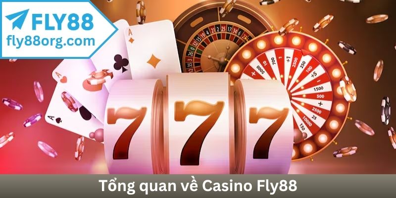 Tổng quan về Casino Fly88